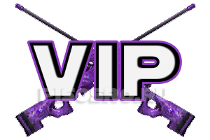 VIP Подписка VIP на 1 час
